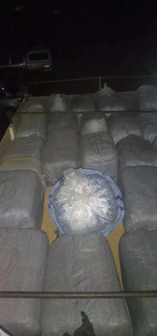 conductor_escondia_680_kilos_de_hojas_de_coca_y_32_cubiertas_ilegales_entre_cargamento_de_soja_2