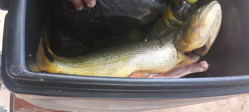 WhatsApp-Image-2025-01-16-at-8.24.07-PM-1024x461