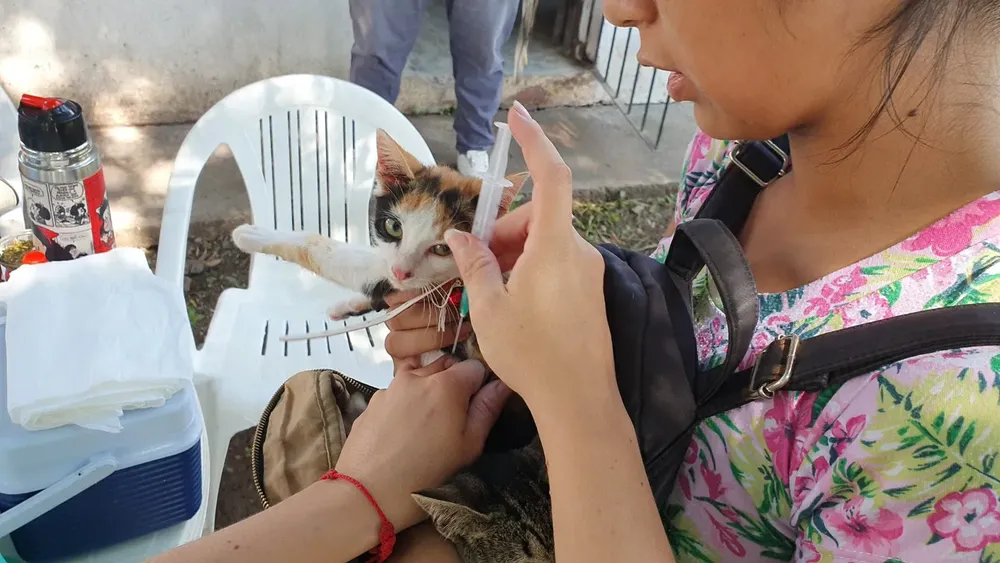 vacunacion2