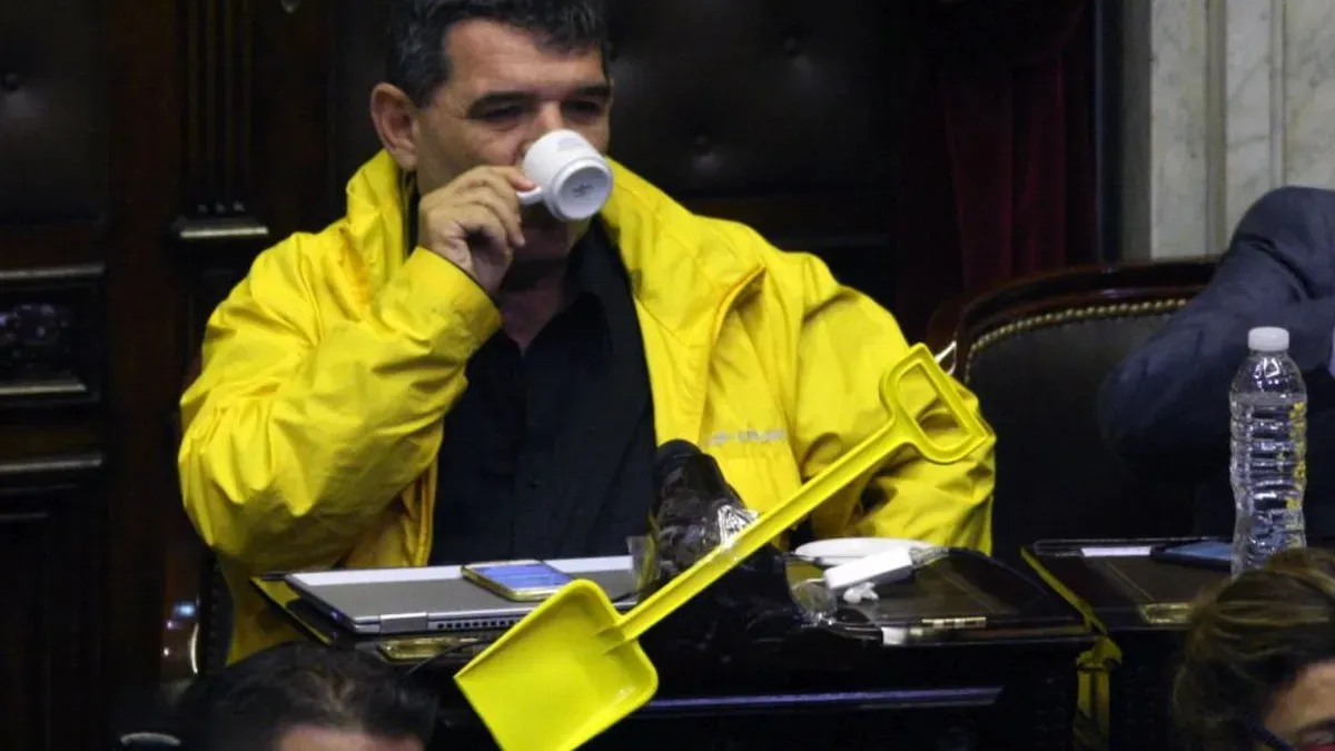 WhatsApp Image 2024-11-20 at 11.24.34