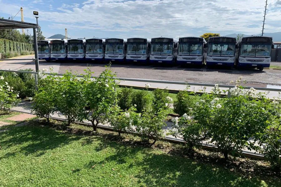 80119-la-empresa-el-condor-incorporo-10-coches-0km-a-su-flota-de-colectivos