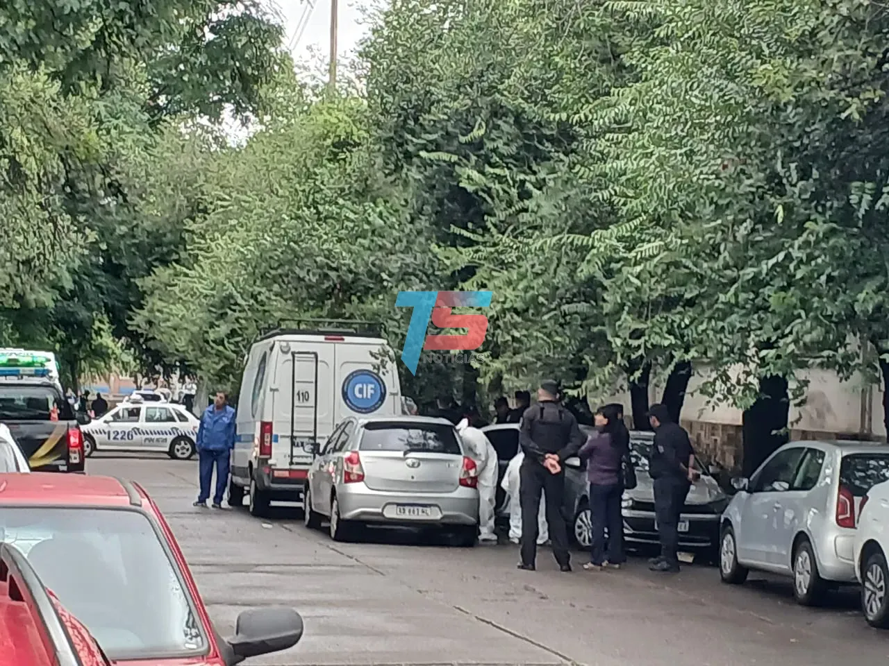 WhatsApp Image 2025-01-03 at 09.46.58