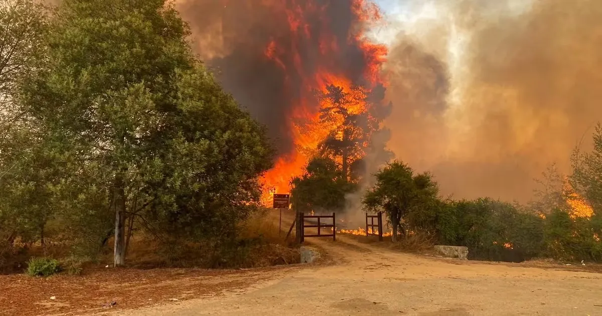 WhatsApp Image 2024-02-05 at 10.40.36