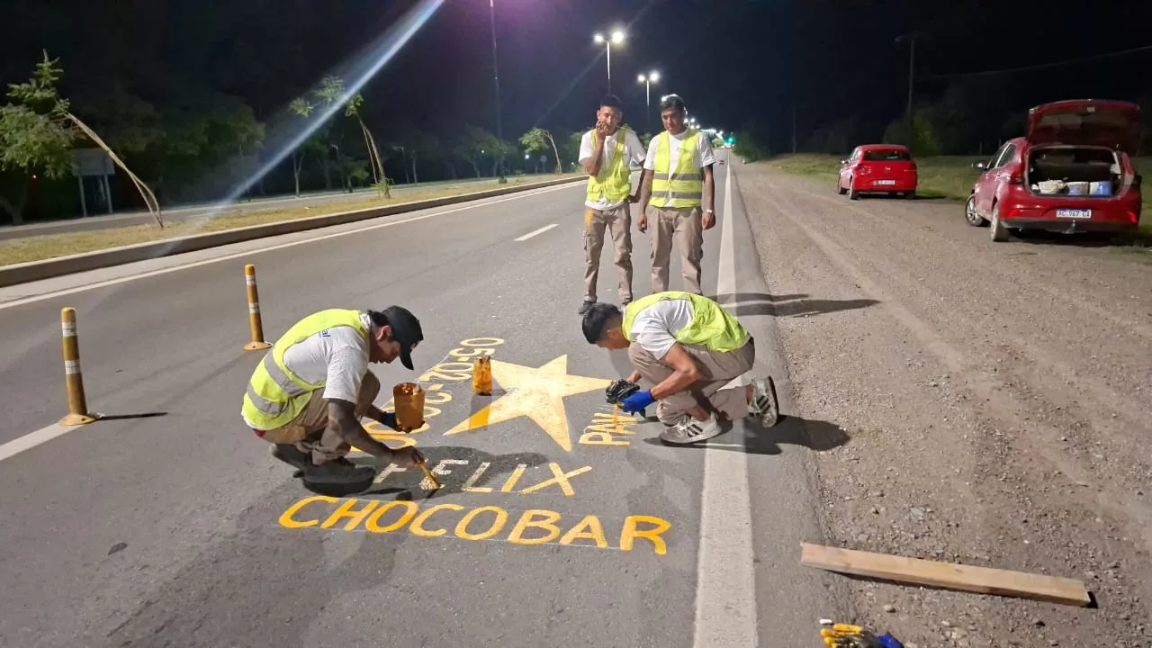 estrellas-pavicei-4-1