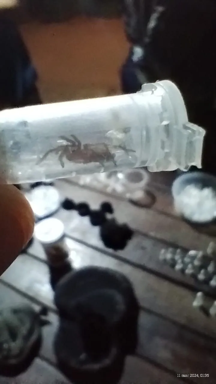 822955-whatsapp-20image-202024-03-12-20at-2013-17-38-20-281-29