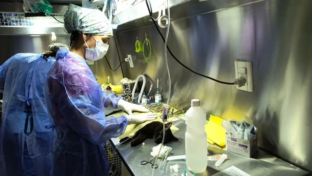 WhatsApp Image 2024-10-31 at 08.33.26