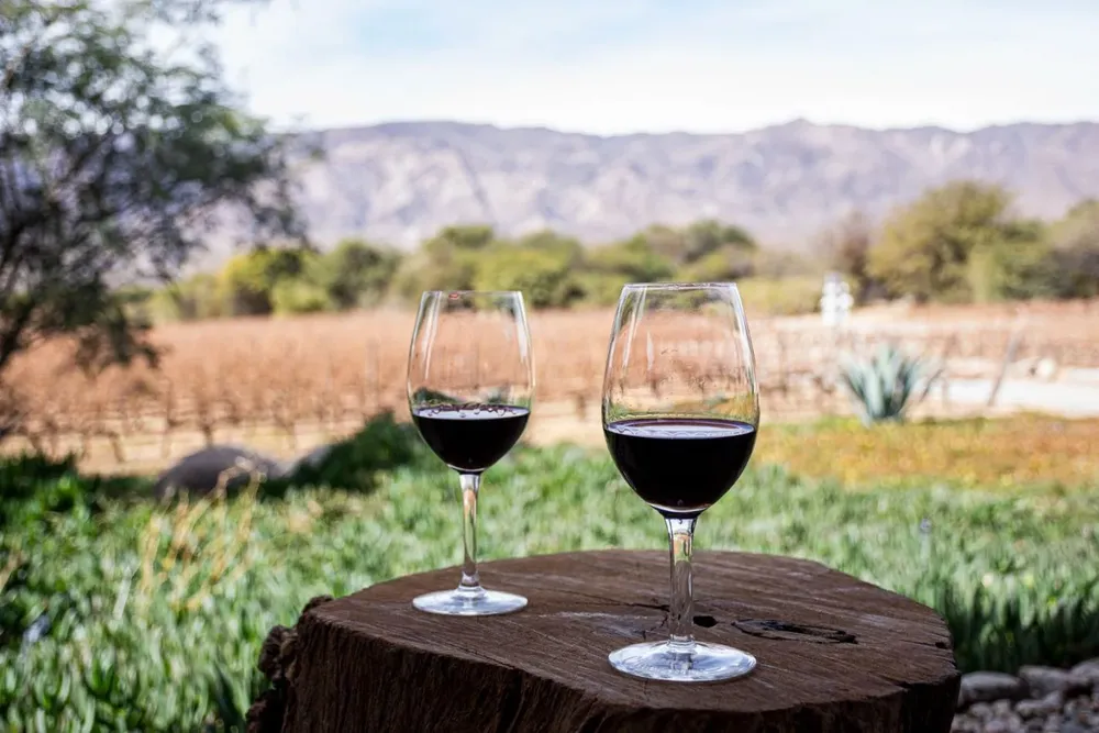 24377-empezo-la-semana-del-malbec-de-altura-en-cafayate