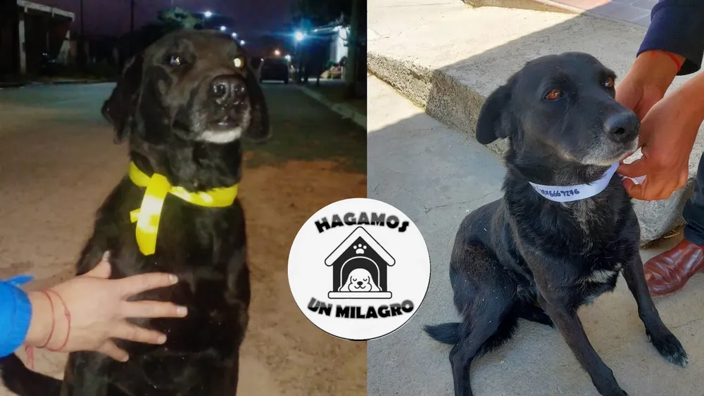 PORTADA PARA TODO SALTA (1)