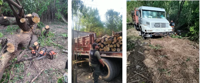 patrulla-ambiental-desmonte-1-768x321