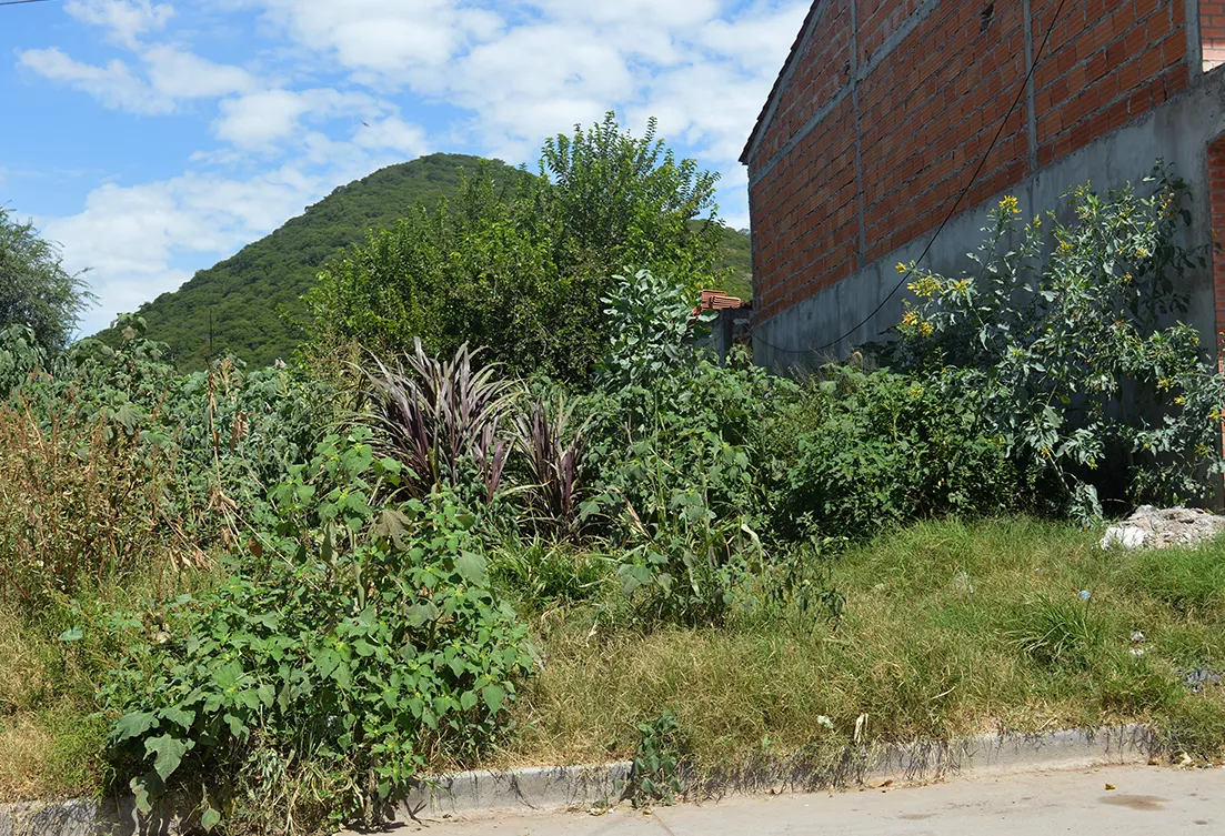 DSC_0108-copia-1