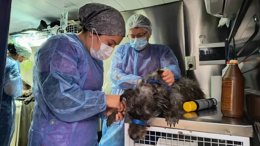 WhatsApp Image 2025-04-15 at 10.40.27