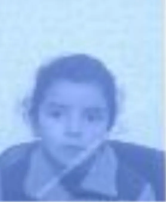 WhatsApp-Image-2024-06-30-at-1.19.24-PM-1