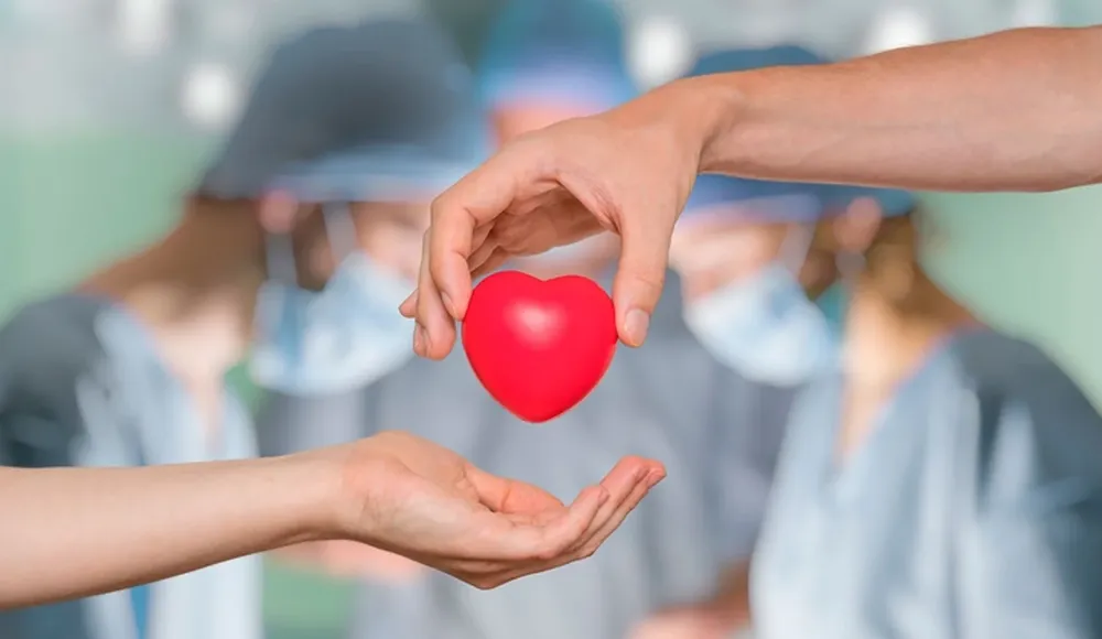 WhatsApp Image 2026-03-31 at 12.02.41