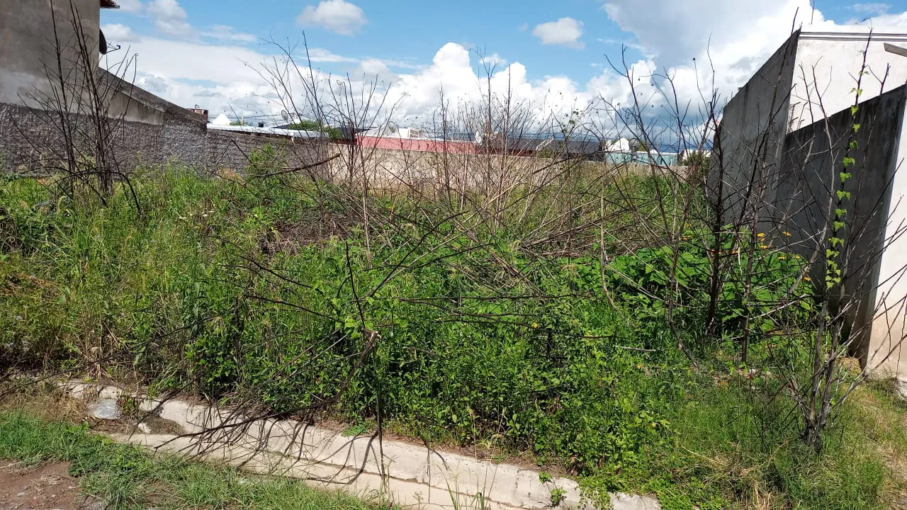 baldio-san-luis-6