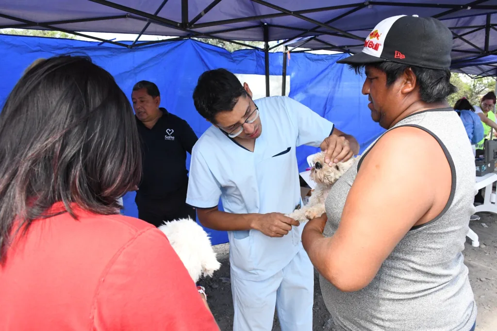 operativo-bienestar-animal-8-1024x682