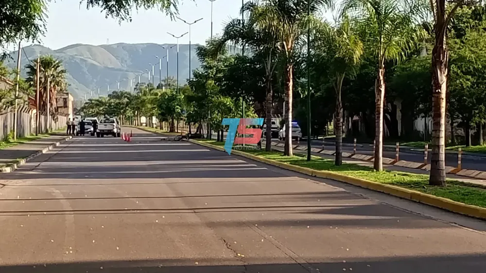 WhatsApp Image 2024-11-11 at 07.43.05