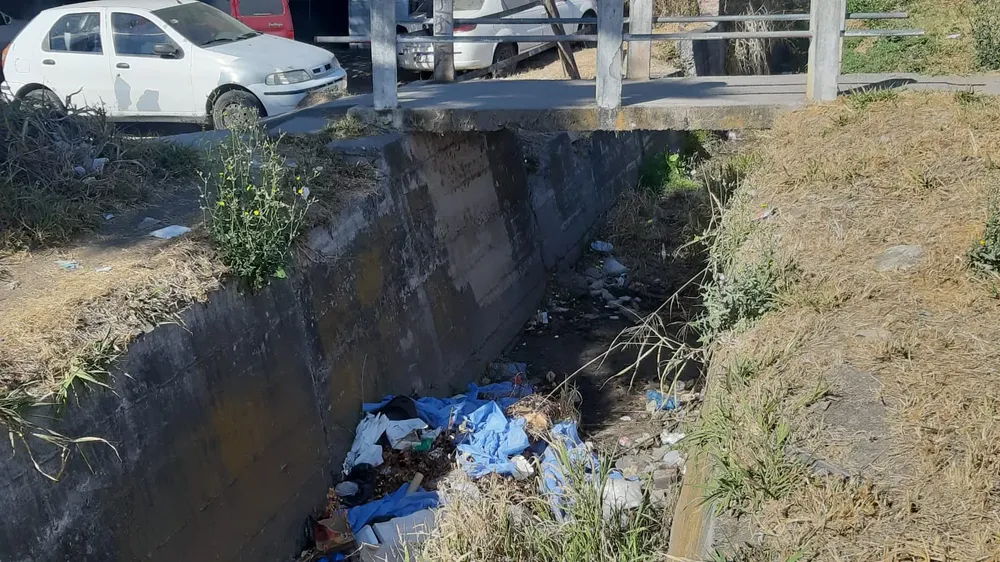 WhatsApp Image 2024-08-14 at 11.03.40