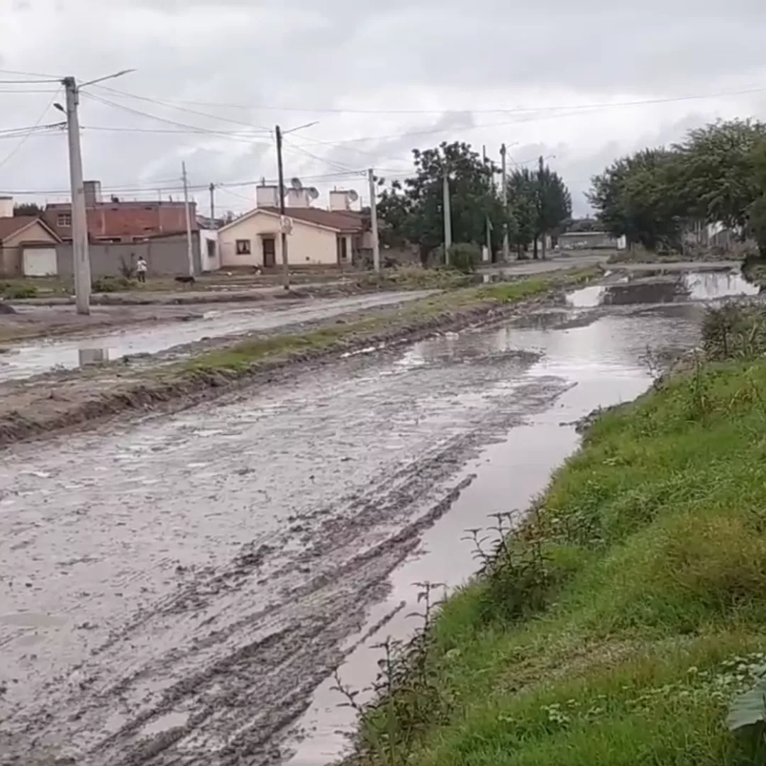 Diseño sin título (4)
