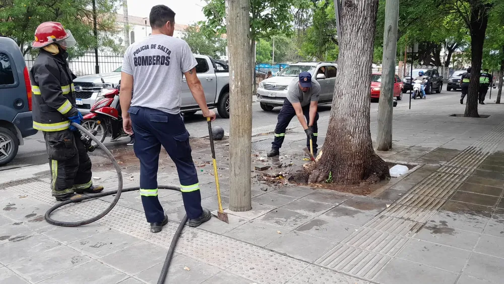 WhatsApp Image 2024-10-22 at 11.08.36