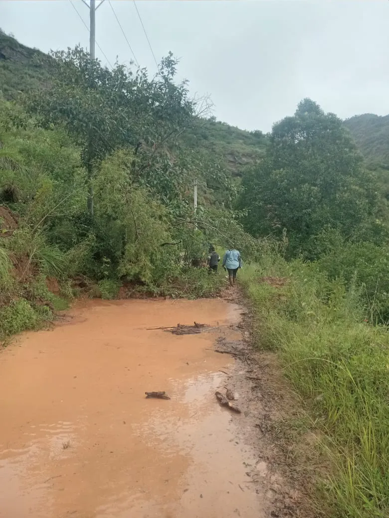 WhatsApp Image 2025-02-19 at 01.49.49 (1)