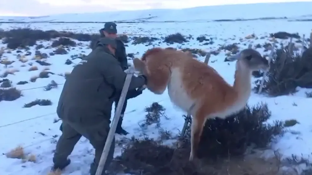 PORTADA PARA TODO SALTA (1)