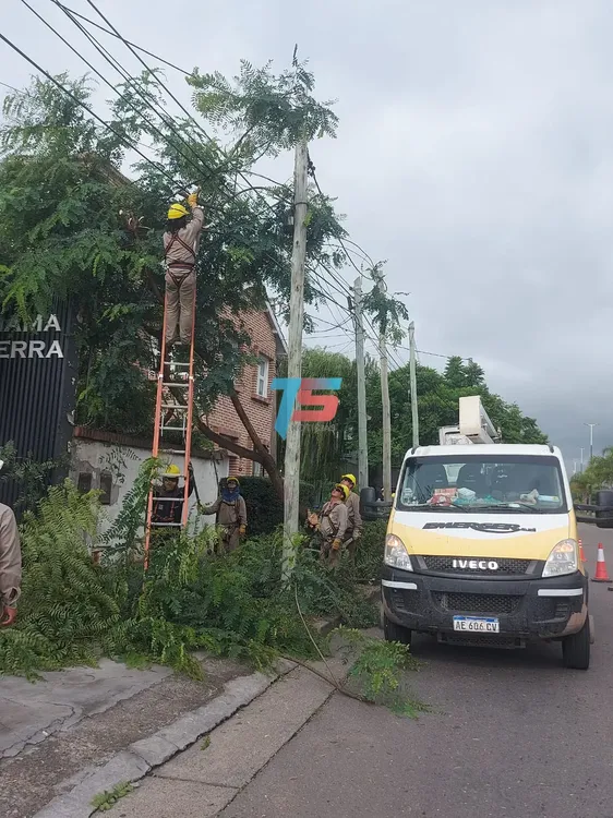 WhatsApp Image 2025-01-23 at 09.30.34