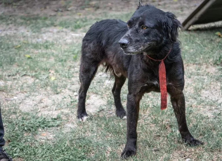 WhatsApp Image 2025-12-18 at 06.39.56