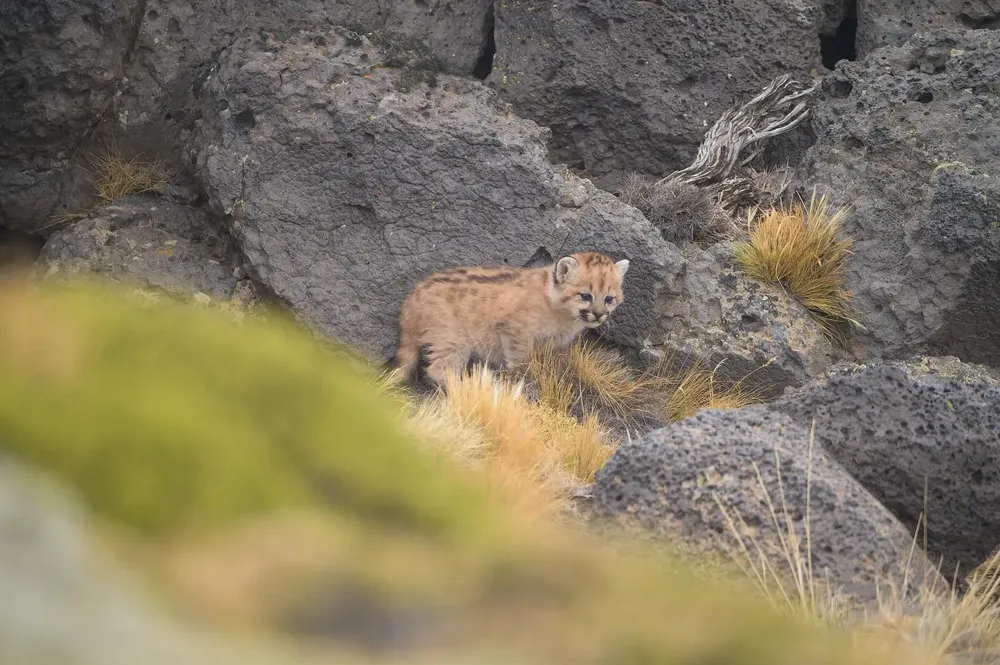 432970825_18331745293186407_8270094768352421769_n