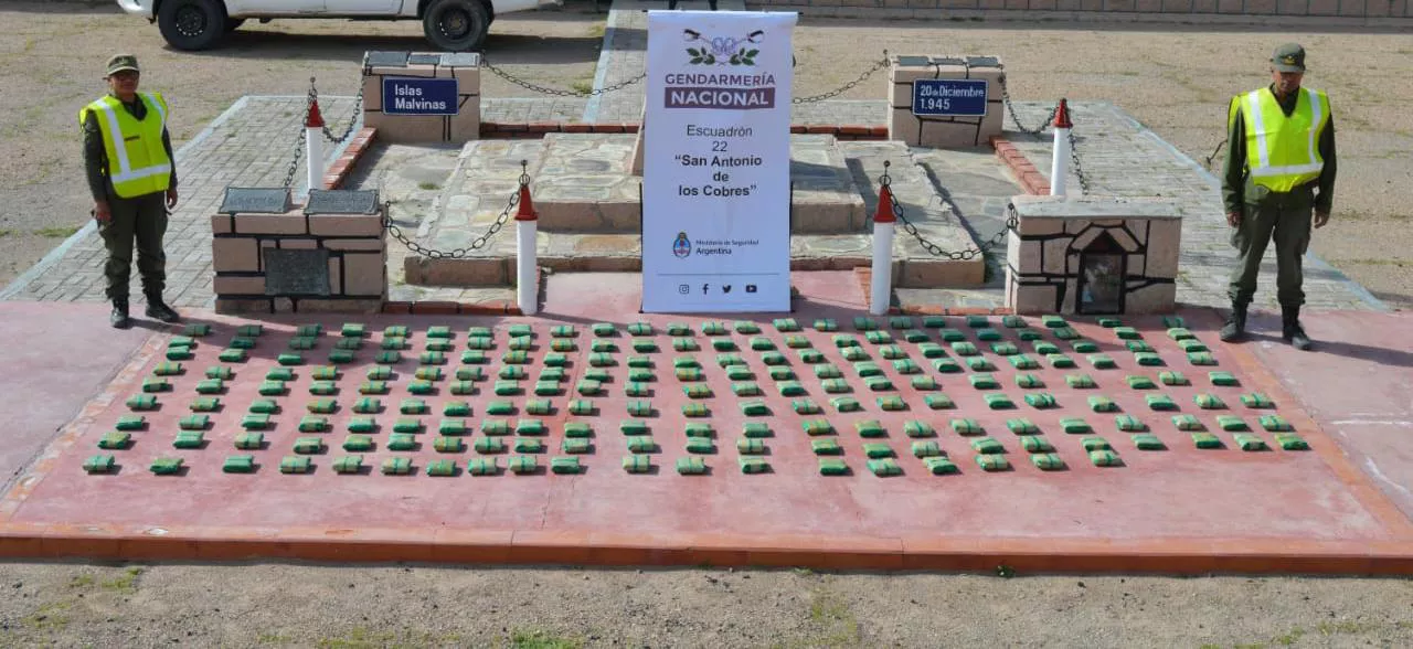 Secuestran 40 kilos de hojas de coca en un paraje sobre la Ruta Nacional N° 40 (2)