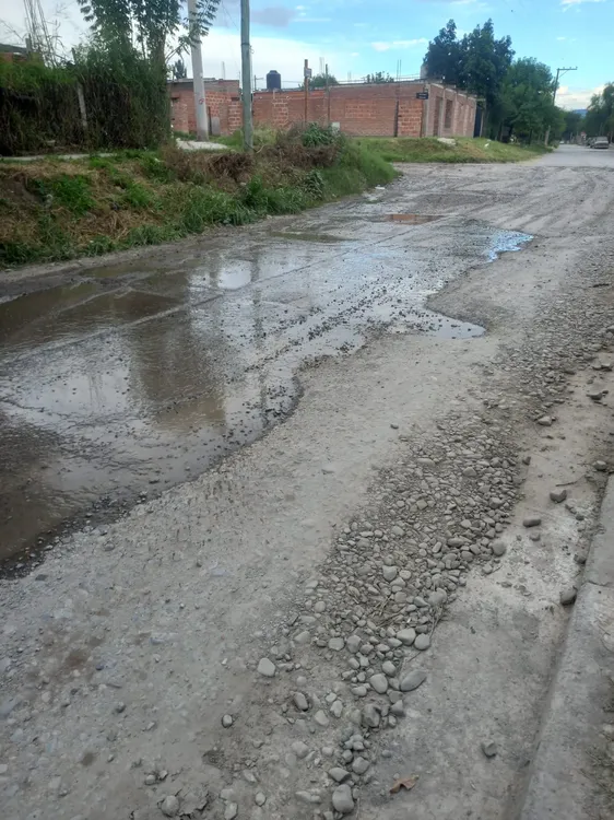 WhatsApp Image 2024-03-27 at 18.26.22