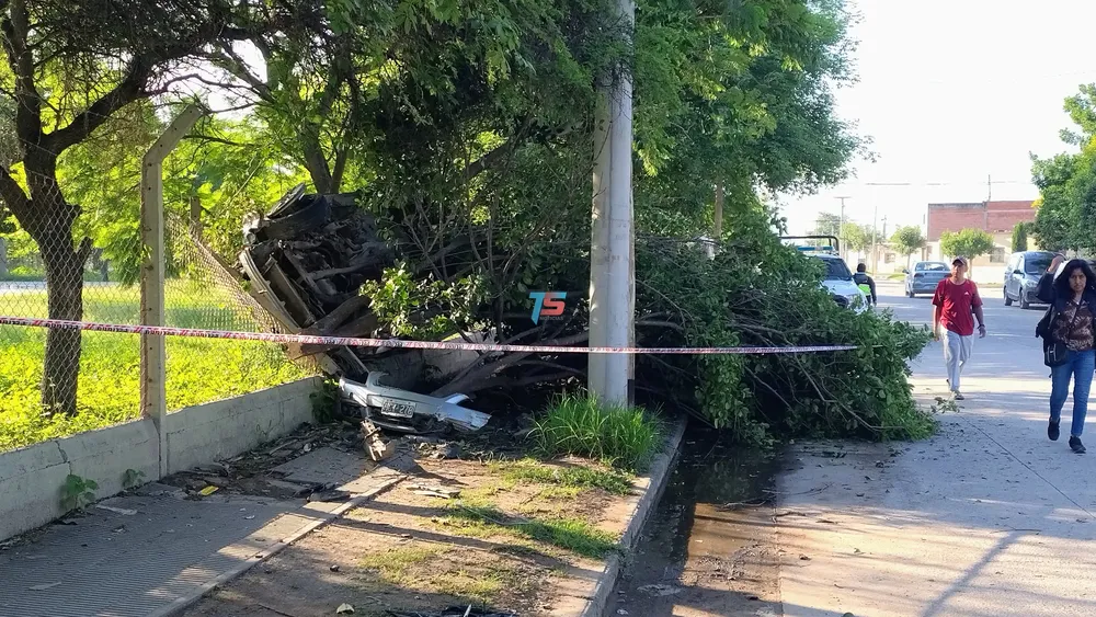 WhatsApp Image 2025-01-13 at 08.27.12