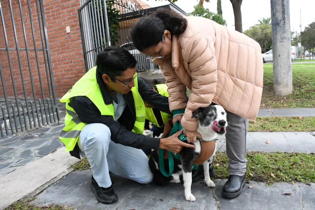 vacunacion-antirrabica-21-1024x683