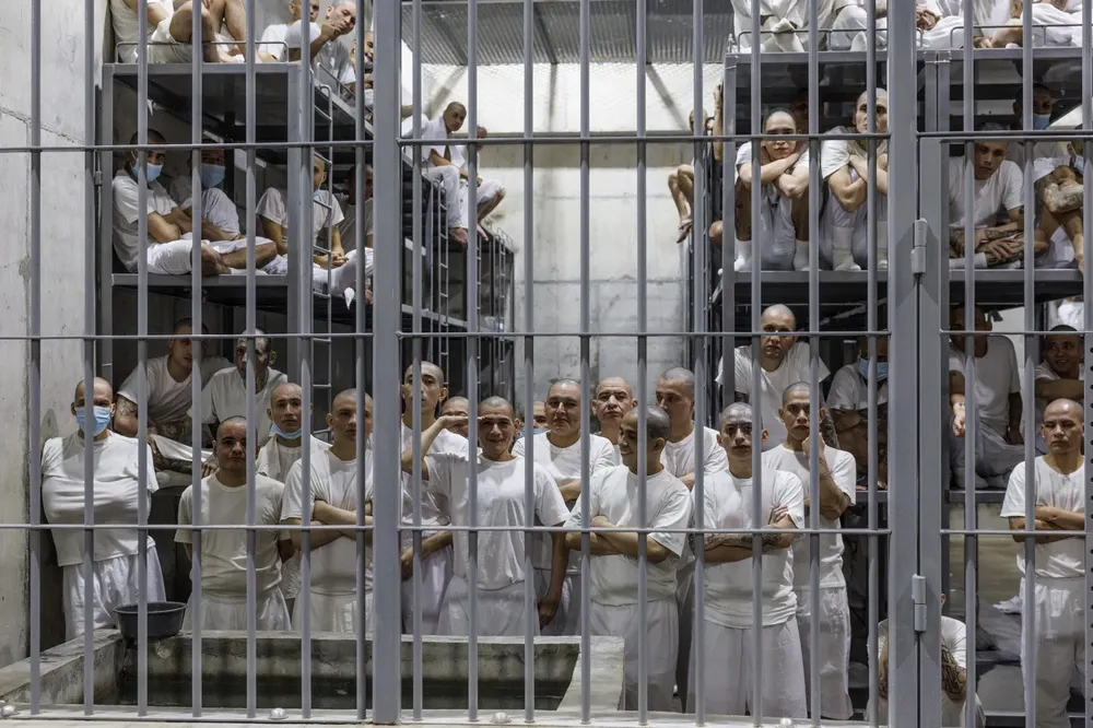 WhatsApp Image 2025-02-04 at 07.27.46