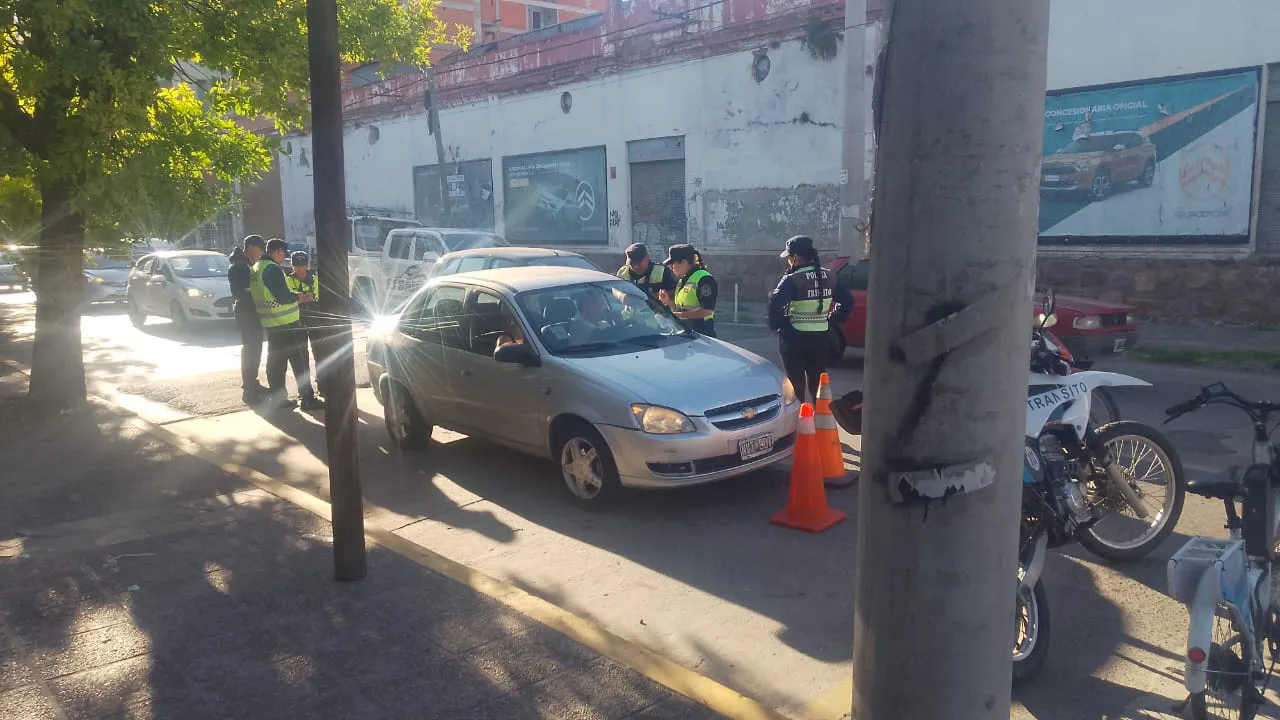 WhatsApp Image 2024-11-15 at 08.36.46