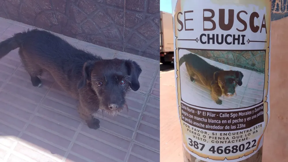 PORTADA PARA TODO SALTA