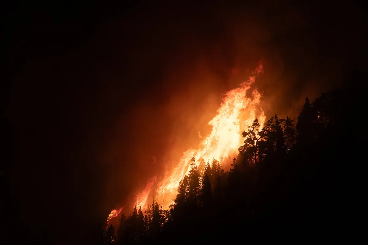 incendios_en_chubut_02