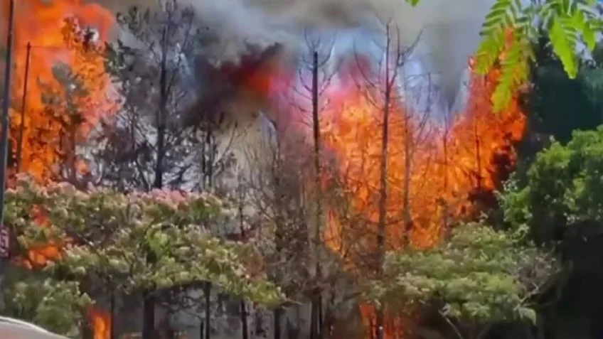 f848x477-1690940_1748743_5050