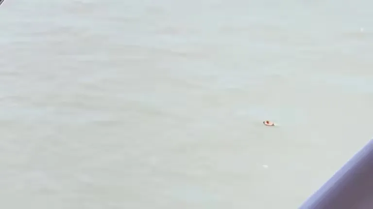 WhatsApp Image 2024-01-18 at 10.40.22