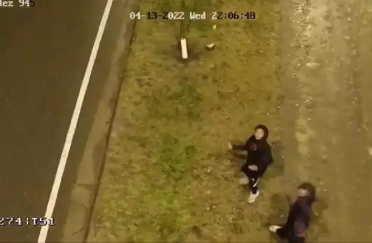 Vandalización