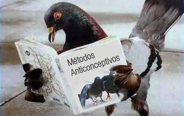 anticonceptivos-paloma