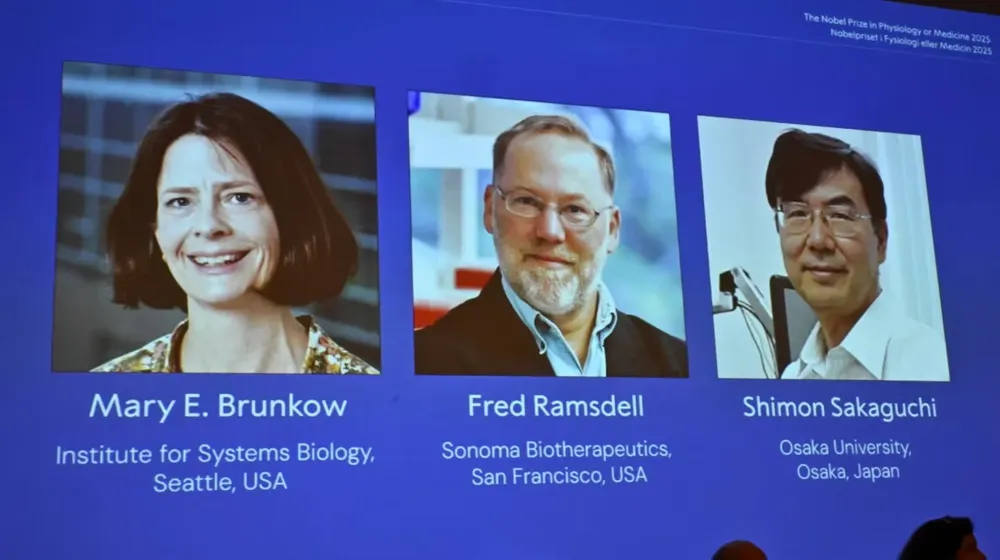 WhatsApp Image 2025-10-06 at 07.31.25