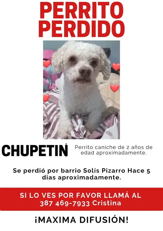 WhatsApp Image 2025-01-16 at 22.24.47