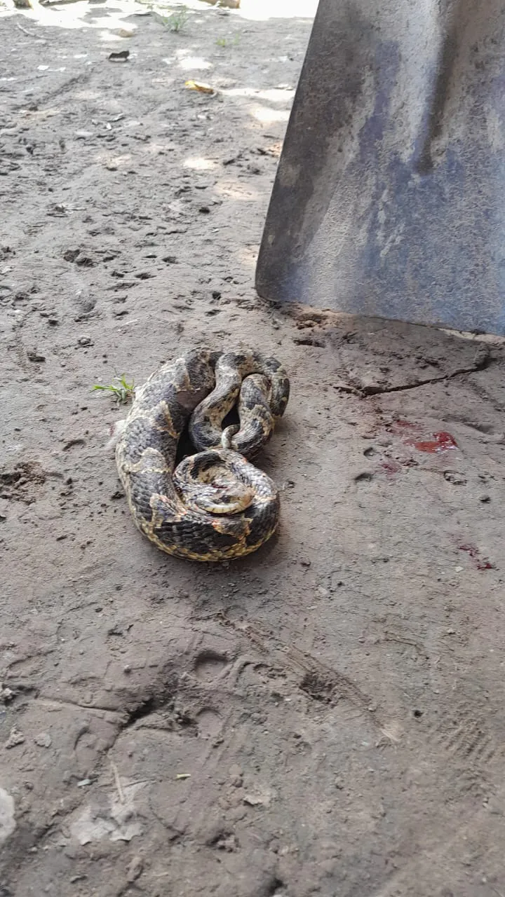 WhatsApp Image 2025-01-17 at 20.09.56 (2)