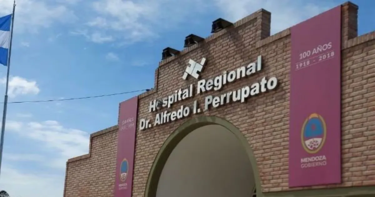 WhatsApp Image 2025-01-02 at 07.35.36