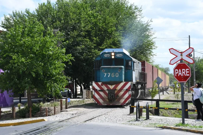 siria-y-belgrano-10-768x512