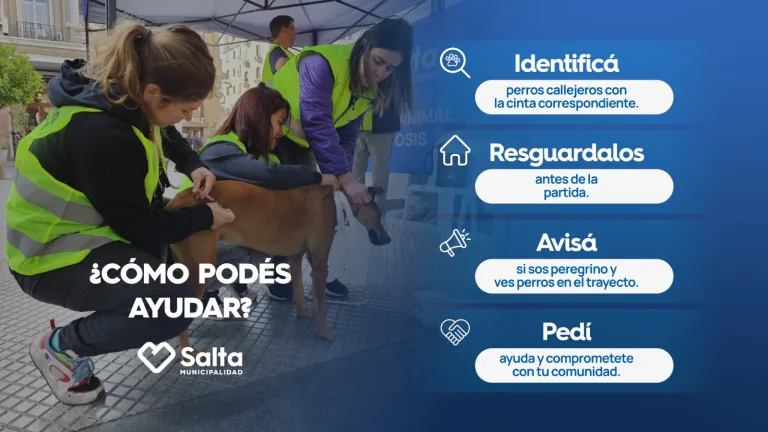 id-de-perros-callejeros-3-768x432