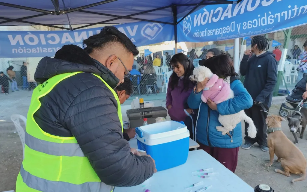 vacunacion-antirrabica-san-jose-4-1024x641