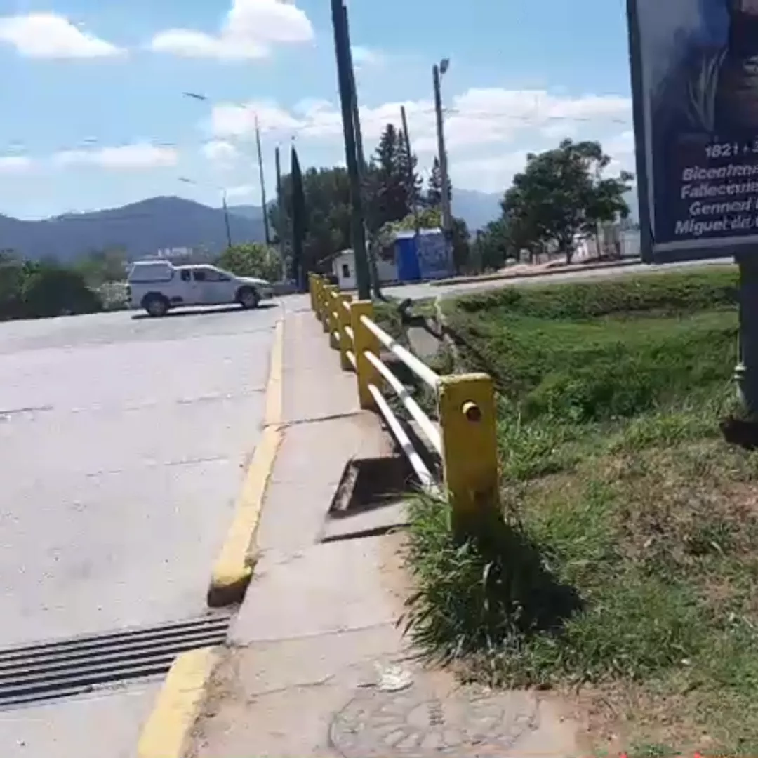 Copia de Copia de Agregar un título