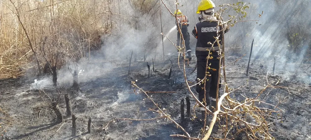 incendiosss-3-1536x691