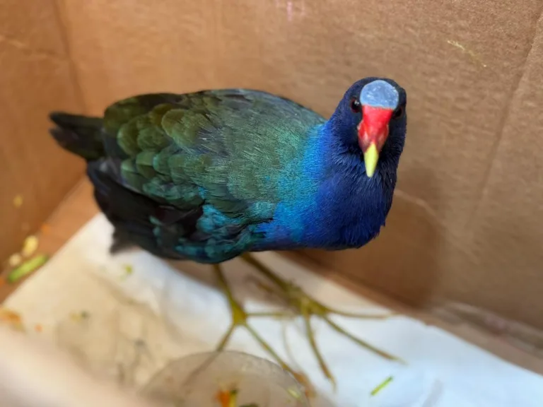 img-20260302-wa0211-768x576